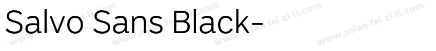 Salvo Sans Black字体转换